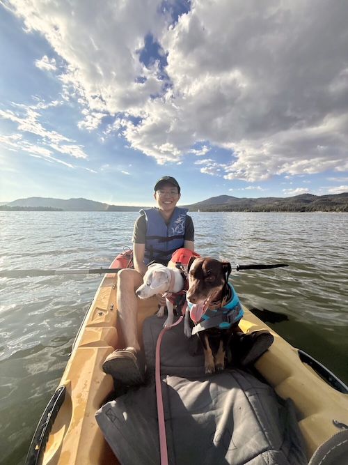 No description has been provided for this image